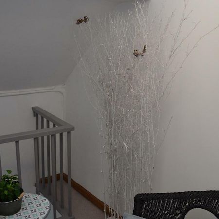 Au Bobeli'Nid - Gite Citadin Au Coeur De Spa Zewnętrze zdjęcie