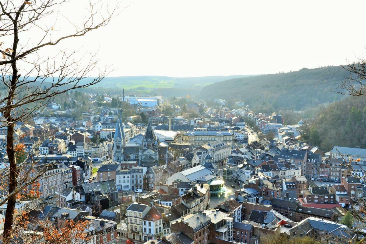 Au Bobeli'Nid - Gite Citadin Au Coeur De Spa Zewnętrze zdjęcie